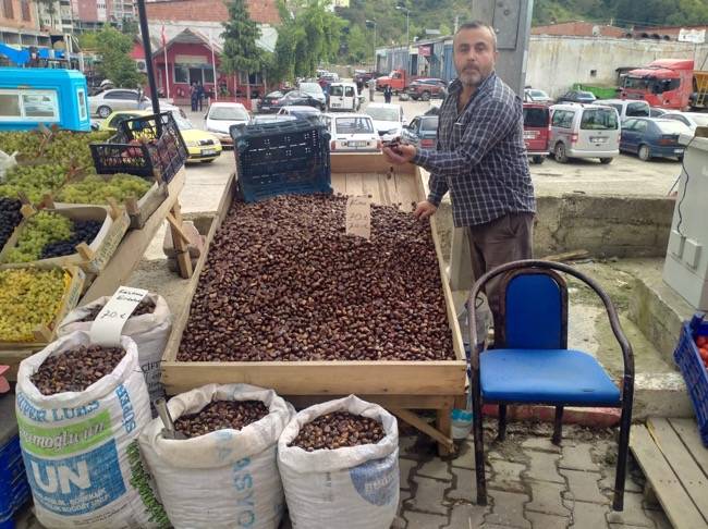 Erfelek’de köylüler dağdan topluyor kilosu 270 TL’ye satıyor. Geçen sene kilosu 50 TL’ydi 48